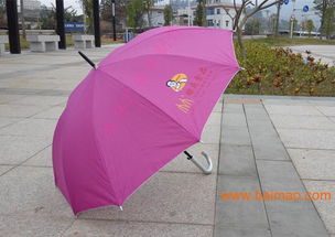 泉州與南寧廣告?zhèn)愣ㄖ迫ヂ?廠家選擇與價(jià)格指南